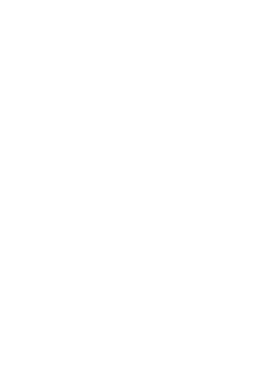 Intelis Capital